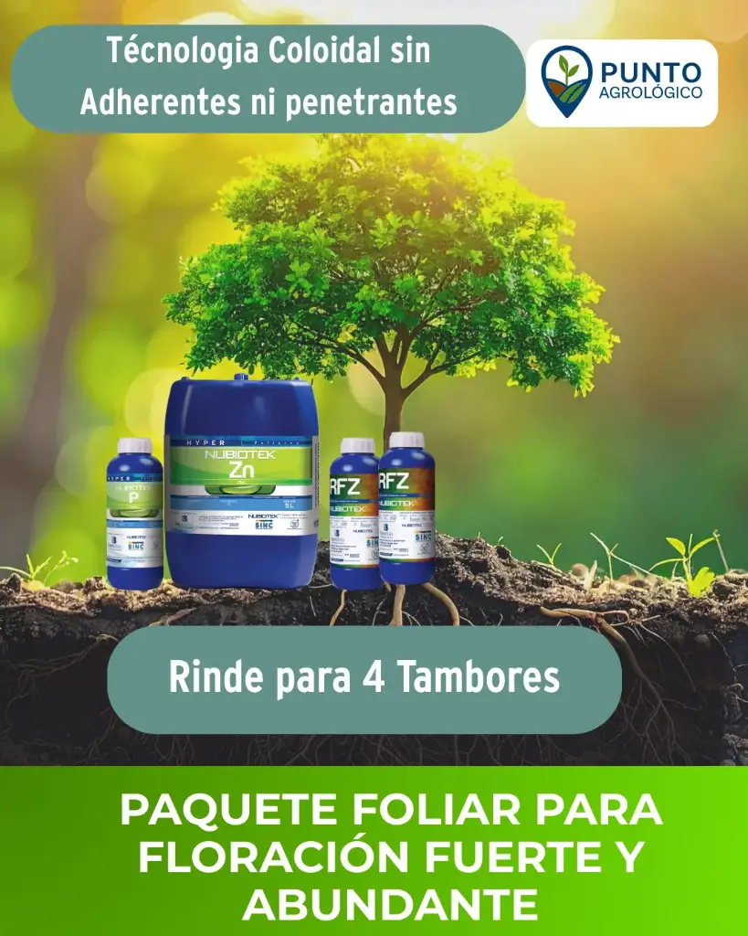 Paquete Foliar para Floración Fuerte y Abundante