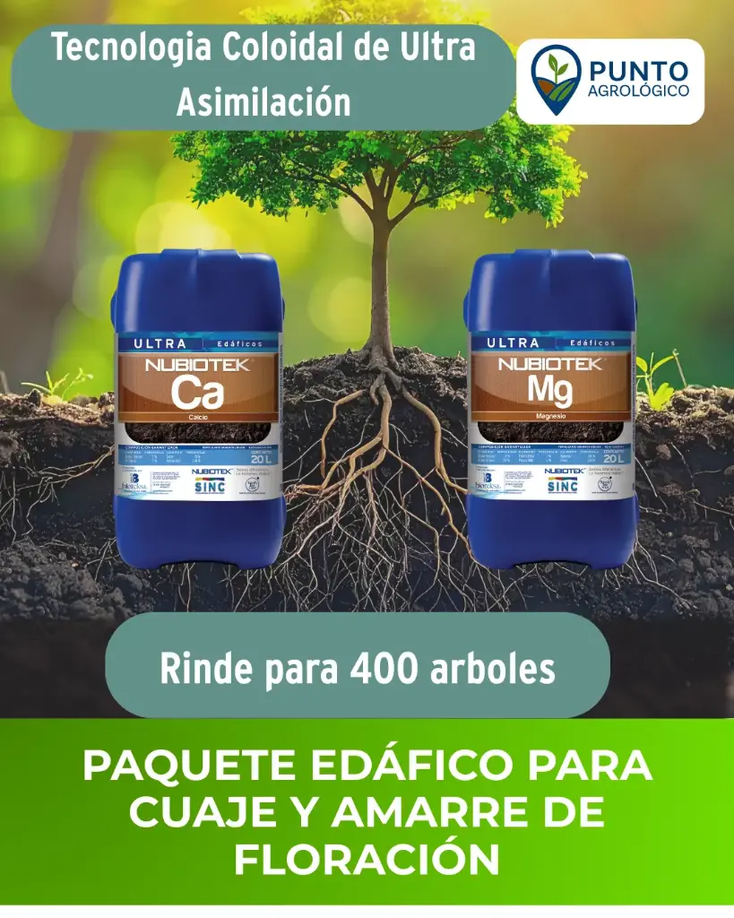 Paquete Edáfico para cuajado y amarre de Flor